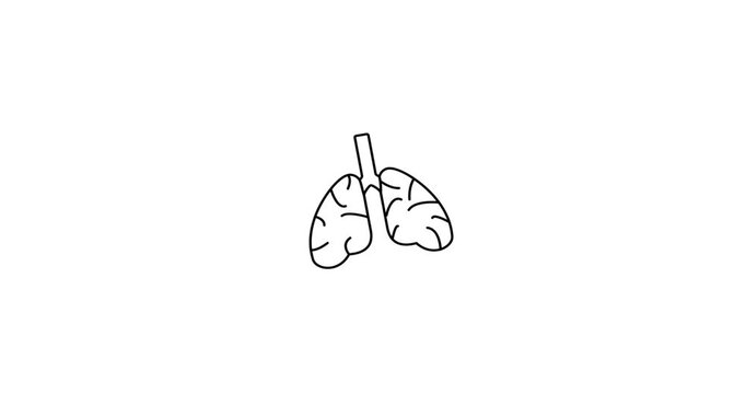 Lungs Animation