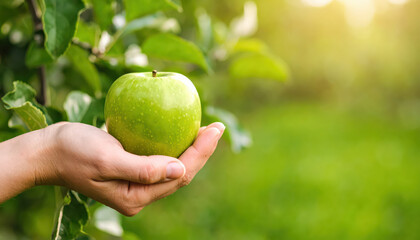Hand holding Apple green, natural background, Apple garden