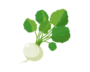 Pixel Art White Turnip with Green Leaves on Transparent Background Digital Illustration Graphic Vegetable Icon, PNG