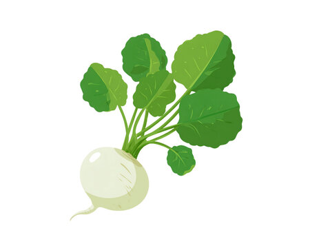 Pixel Art White Turnip with Green Leaves on Transparent Background Digital Illustration Graphic Vegetable Icon, PNG