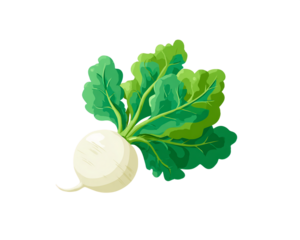 Pixelated White Turnip with Green Leaves Against a Transparent Background in a Retro 8 Bit Style, PNG