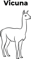 Fototapeta premium A simple line drawing showcases a vicu?a, a South American camelid, standing gracefully, perfect for educational materials, coloring books, or wildlife illustrations.