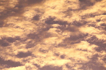 Fototapeta premium 夕日に染まる雲