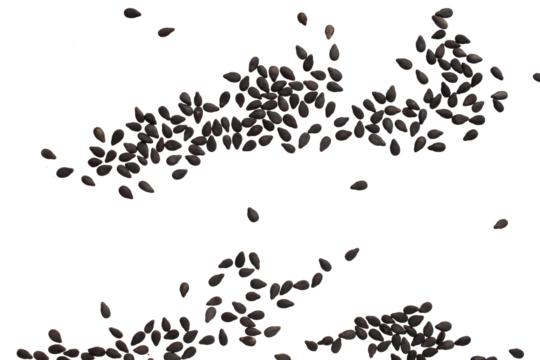 Black sesame seeds isolated on white background