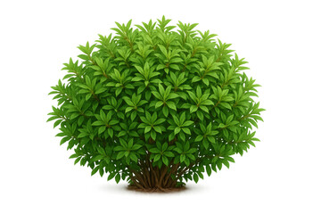 Lush, round bush with vibrant green leaves, perfect for landscaping and garden designs, isolated on a transparent background
