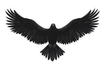 Obraz premium Soaring eagle wings wide icon vector illustration isoleted on white background in silhouette .