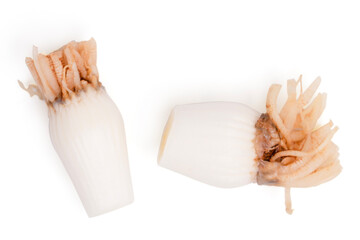 Slice spring onions leaves and roots.