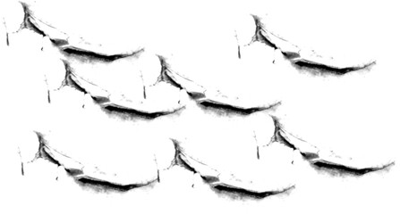 Abstract textured background featuring leaf shadows vibrant paint splashes and natural rock wood and stone elements