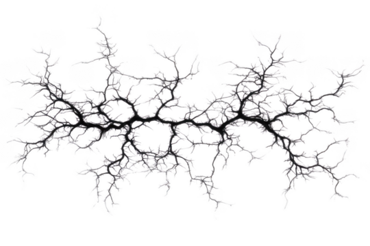 Explore Abstract Network Patterns and Fractal Design with Branching Structure