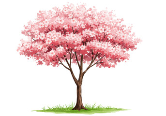 Obraz premium Vibrant cherry blossom tree in full bloom, surrounded by lush green grass, symbolizing spring