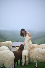 A woman in a light dress is surrounded by sheep, gently interacting with them in a serene, foggy...