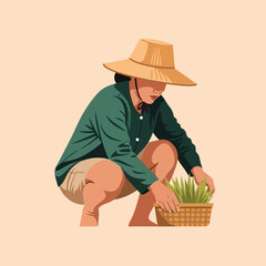 Person Harvesting Plants in Woven Basket Wearing Traditional Hat