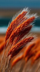Golden Wheat Field Waving in Gentle Breeze