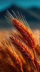 Golden Wheat Field Swaying Under a Clear Blue Sky