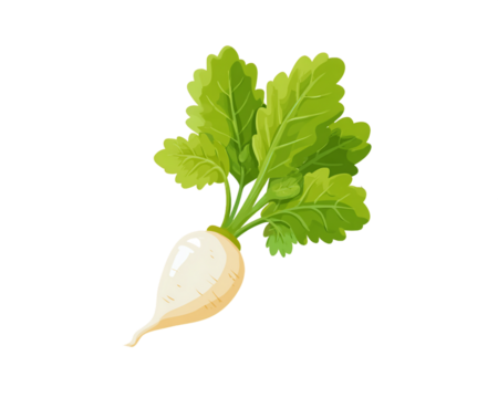 Vibrant Turnip with Green Leaves on Transparent Backdrop Fresh Isolated White Turnip Featuring Organic Root Vegetable with Natural Garden Harvest Food, PNG