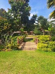 Exotic Tropical Park Bridge Under Clear Blue Sky