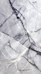 Fototapeta premium Veined White and Gray Marble Texture Detailed Natural Stone Background with Complex Patterns