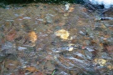 Akita,Japan - July 15, 2025: Spider's web or cobweb on Stream

