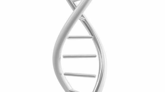 DNA Simulate animation seamless looping. Designed to be simple and elegant on white background and green screen. Can be used in cosmetic industry, science or medicine. Minimal idea concept, 3D Render.