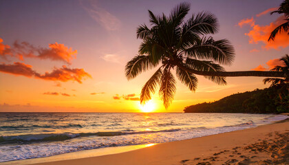Tropical Sunset Beach Scene with Palm Tree Silhouette and Golden Light