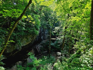 Hidden Cave Entrance at Maquoketa Caves State Park, Iowa