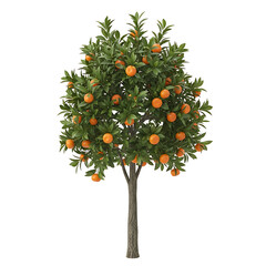 A vibrant orange tree laden with ripe citrus fruits against a plain background.