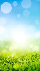 Obraz premium Vibrant spring grass and sky bokeh