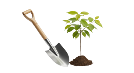Shiny metal spade with a wooden handle next to a young green sapling ready for planting in a mound of soil. PNG Transparent