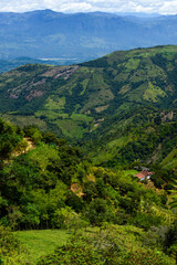 Idyllic landscape of a lush green mountain valley in the Colombian Andes, featuring a traditional rural farmhouse (finca) nestled in the tranquil countryside of Antioquia, South America.