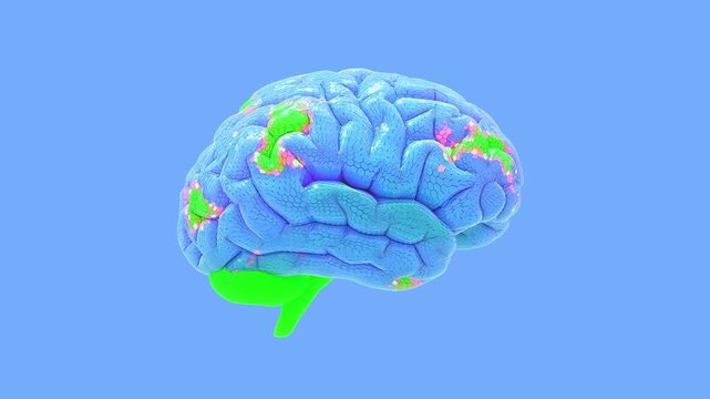 Blue brain on blue background Represents analytical thinking, decision making. Brain Simulate animation seamless looping.  Minimal idea concept, 3D Render.