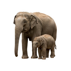 Fototapeta premium Sumatran elephant mother and her calf generative AI