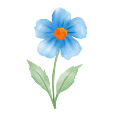 blue flower isolated on white background