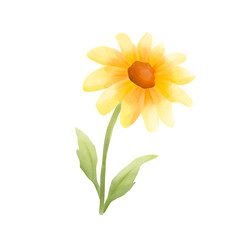 yellow flower isolated on white background