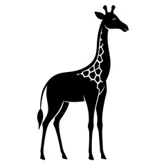 Naklejka premium Giraffe vector illustration