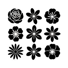 Fototapeta premium Elegant Floral Line Art: Nine Dark Background Flower Designs, Rose, Daisy, and More.