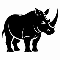 Rhino on white background