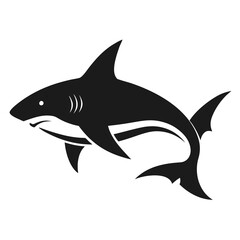Shark vector illustration