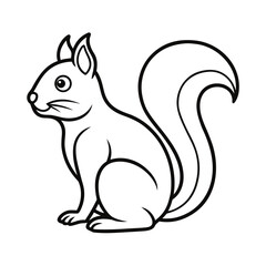 squirrel on white background