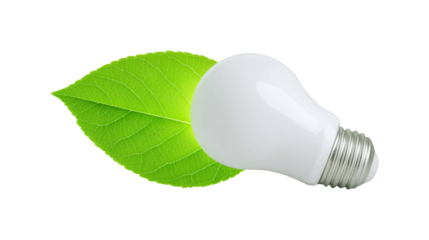Green energy and eco innovation concept with a light bulb and a leaf