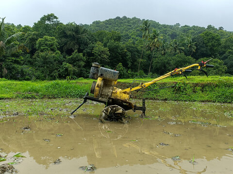 A rotavator is seen resting in the middle of a wet and muddy paddy field in Konkan, Maharashtra