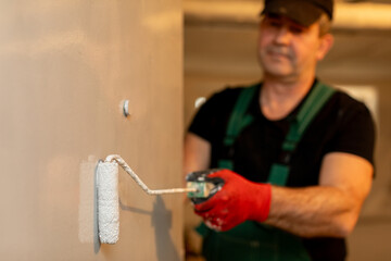 A Skilled Professional Painter Is Currently at Work Applying a Fresh Coat of Paint to Surfaces