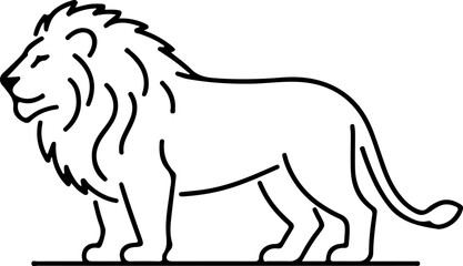 lion isolated on white
