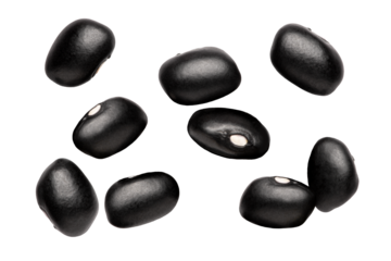 black beans falling isolated on transparent background