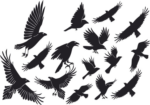 Collection of stylized black silhouettes of crows and ravens in various dynamic flying and perching poses against a clean white backdrop, evoking a sense of nature and freedom