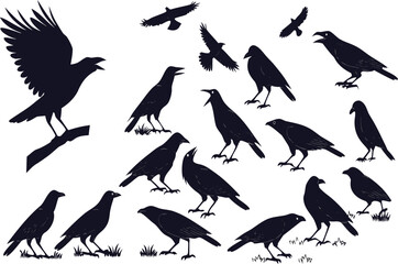 A striking collection of diverse crow silhouettes in various poses, including perched, flying, and calling, presented against a clean backdrop, evoking a sense of mystery and nature.