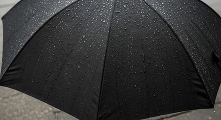 Close-up of rain droplets on a black umbrella, moody atmospheric texture, water resistant fabric.