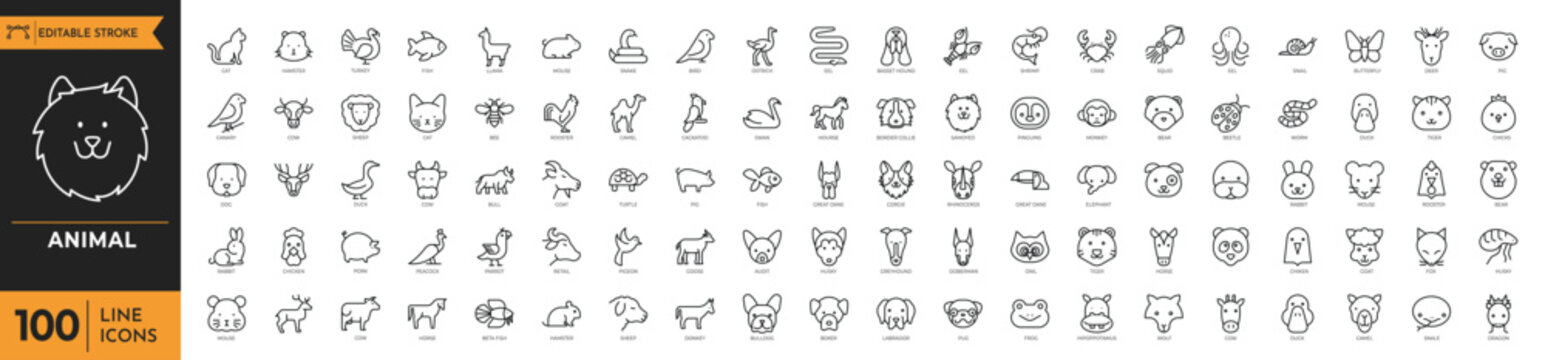 Animals icon set. Containing Cat, Dog, Rabbit, Hamster, Goat, Pig, Horse, Cow, Duck, Chicken, Owl,  Fox, Wolf, Bear, Monkey, Lion, Elephant, Tiger, and more. Editable stroke. Vector illustration