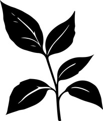 vector black silhouette of plant