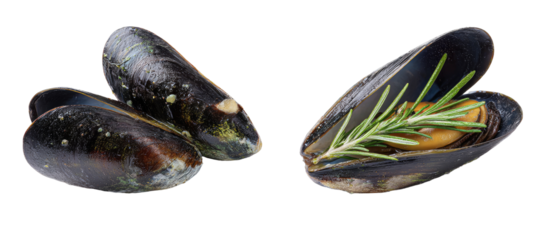 Two mussels, one with rosemary
