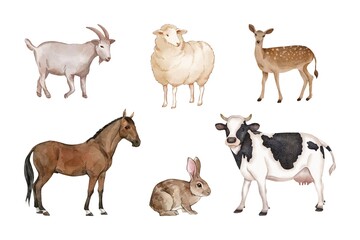 Watercolor of herbivorous animals set on white background. Watercolor of goat, sheep, deer, horse, rabbit, and cow isolated. Hand drawn of herbivorous animals